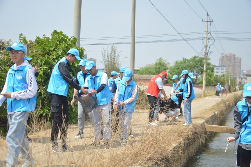 河道清理 1.JPG